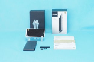 日本數(shù)字音頻播放器購買指南與技術(shù)發(fā)展趨勢